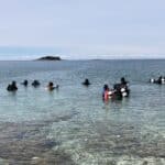 Skupina potápěčů v černých neoprenových oblecích vstupuje za jasného dne do oceánu z oblázkové pláže ve Vrsaru.